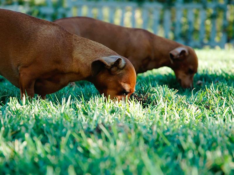 sudoku daily practice screenshot 3
