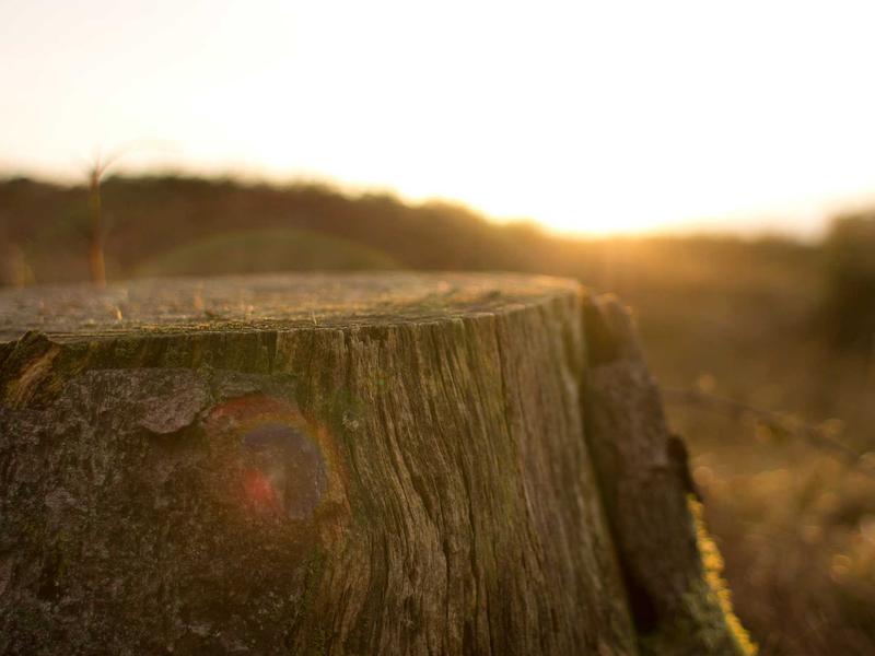 sudoku simple coloring screenshot 5