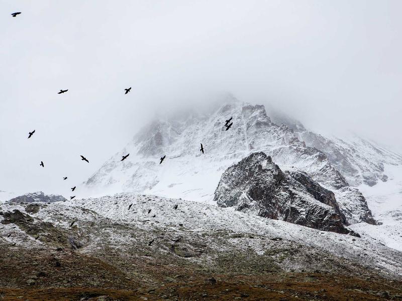 sudoku daily practice screenshot 5